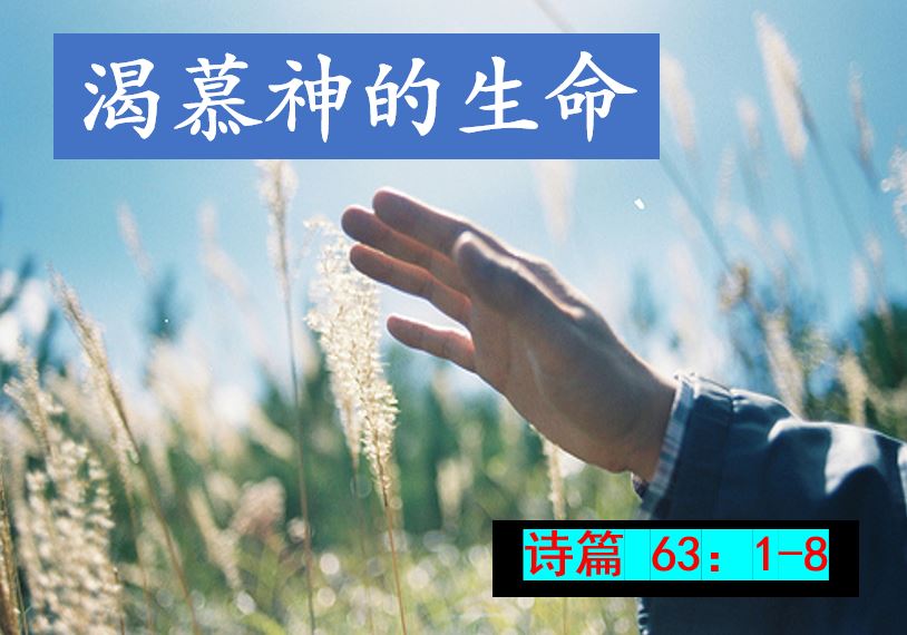 2024年10月13日华语崇拜讲道