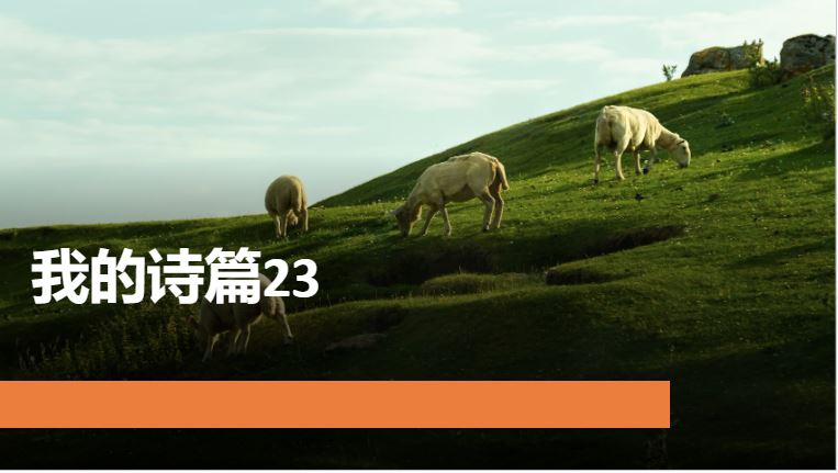 2024年10月19日周六崇拜讲道