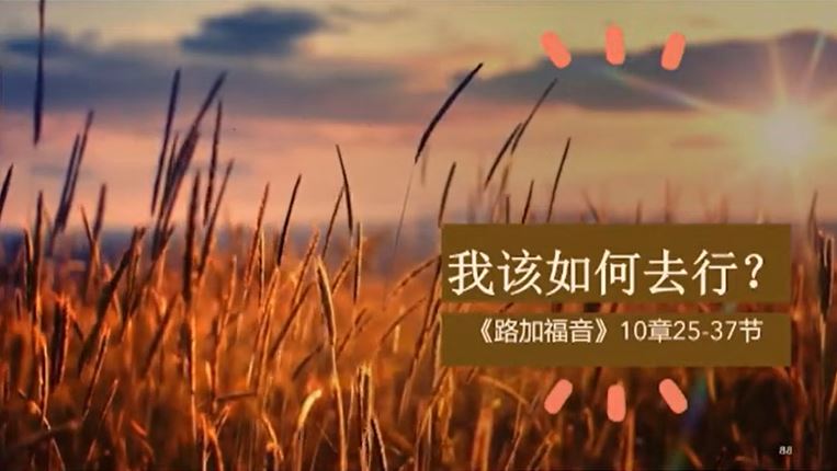 2024年12月7日周六崇拜讲道