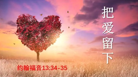 2025年6月15日华语崇拜讲道