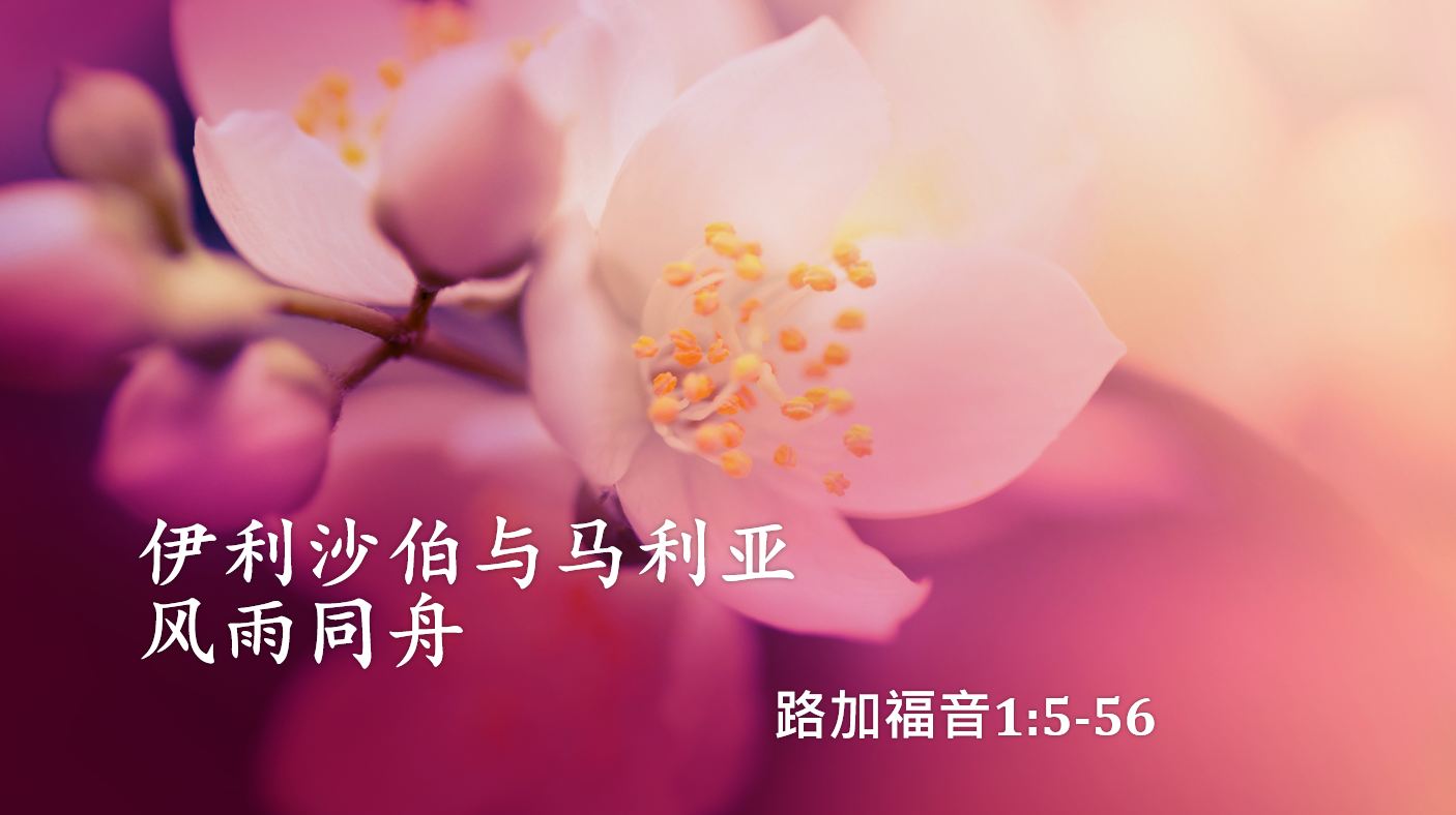 2025年7月27日粤语崇拜讲道