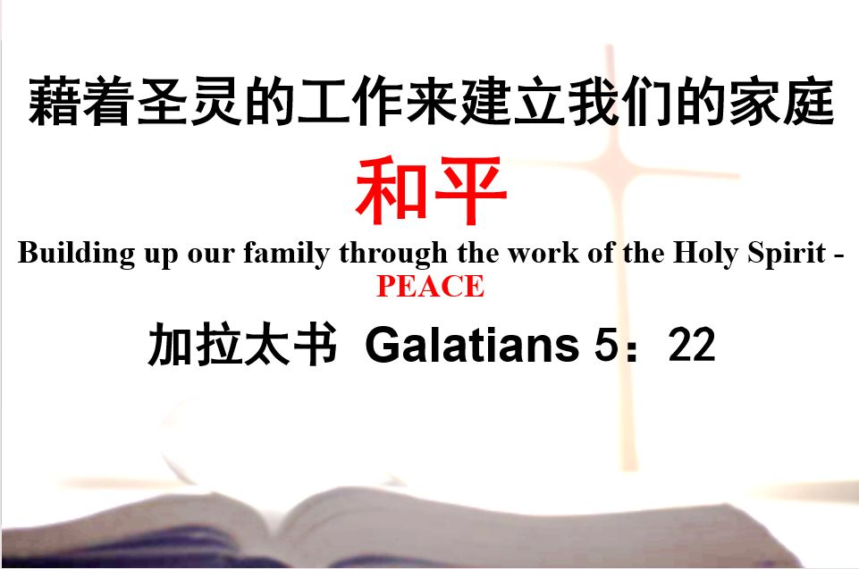 2026年1月31日周六崇拜讲道