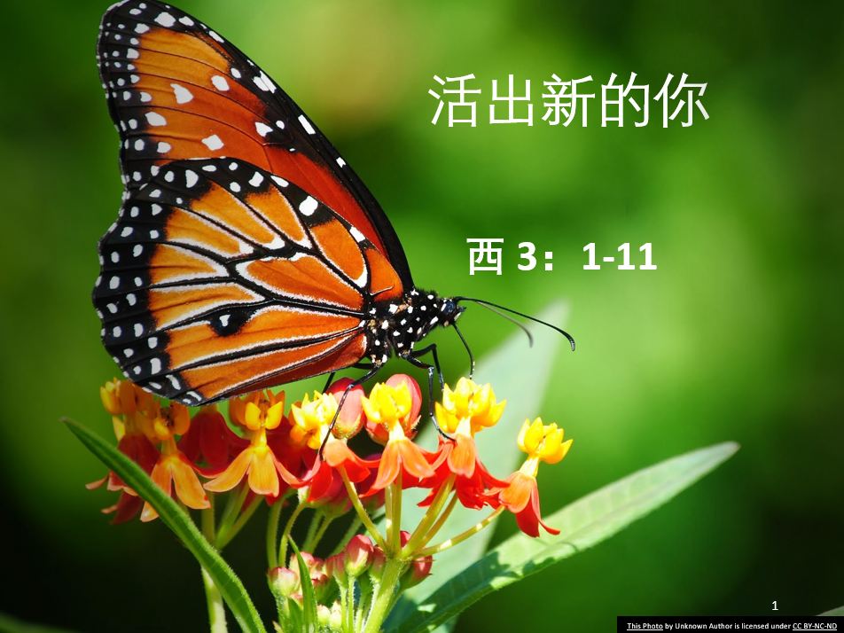 2026年2月28日周六崇拜讲道