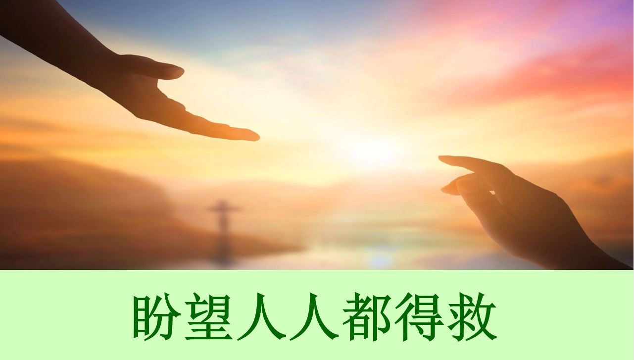 2026年5月2日周六崇拜讲道
